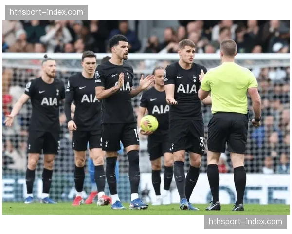 伤情更新：热刺共有五名球员缺席本轮联赛